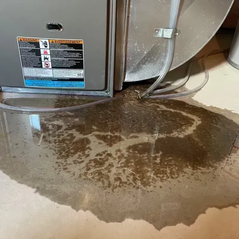 Appliance Leak Cleanup in San Saba, TX